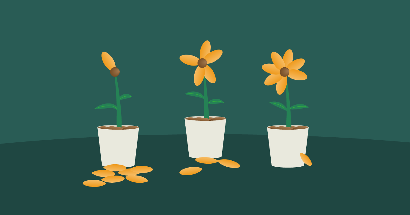 flowers wilting to represent different levels of inactive subscribers