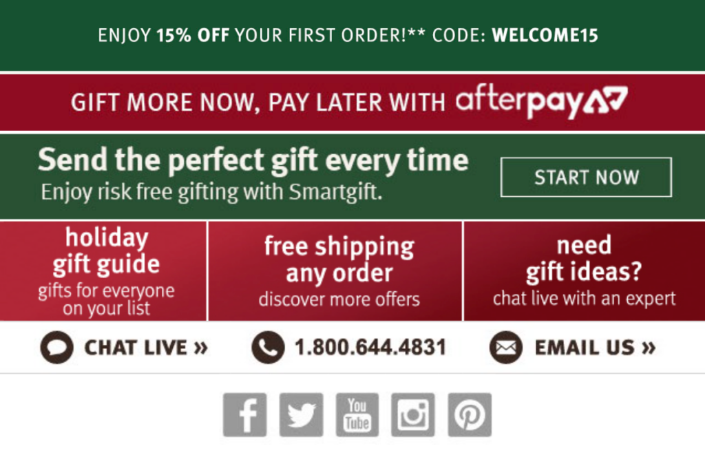 Aveda holiday email footer