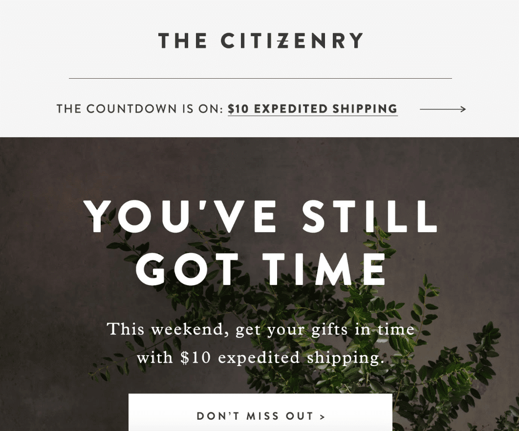 thecitizenery-10-percent-off