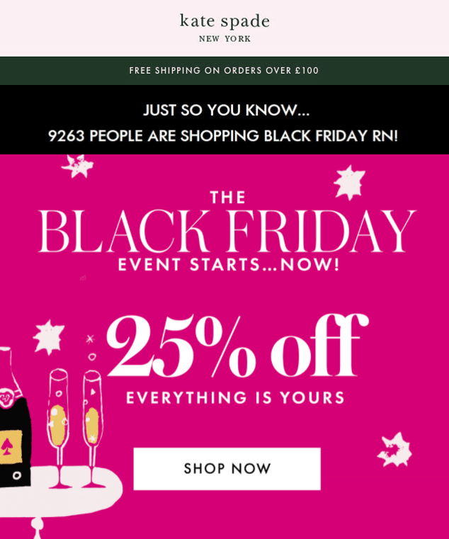 Kate Spade holiday email example
