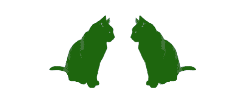 cat GIF, after Gmail