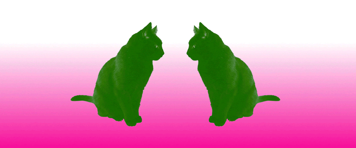 cat GIF with gradient, after going through Gmail proxy