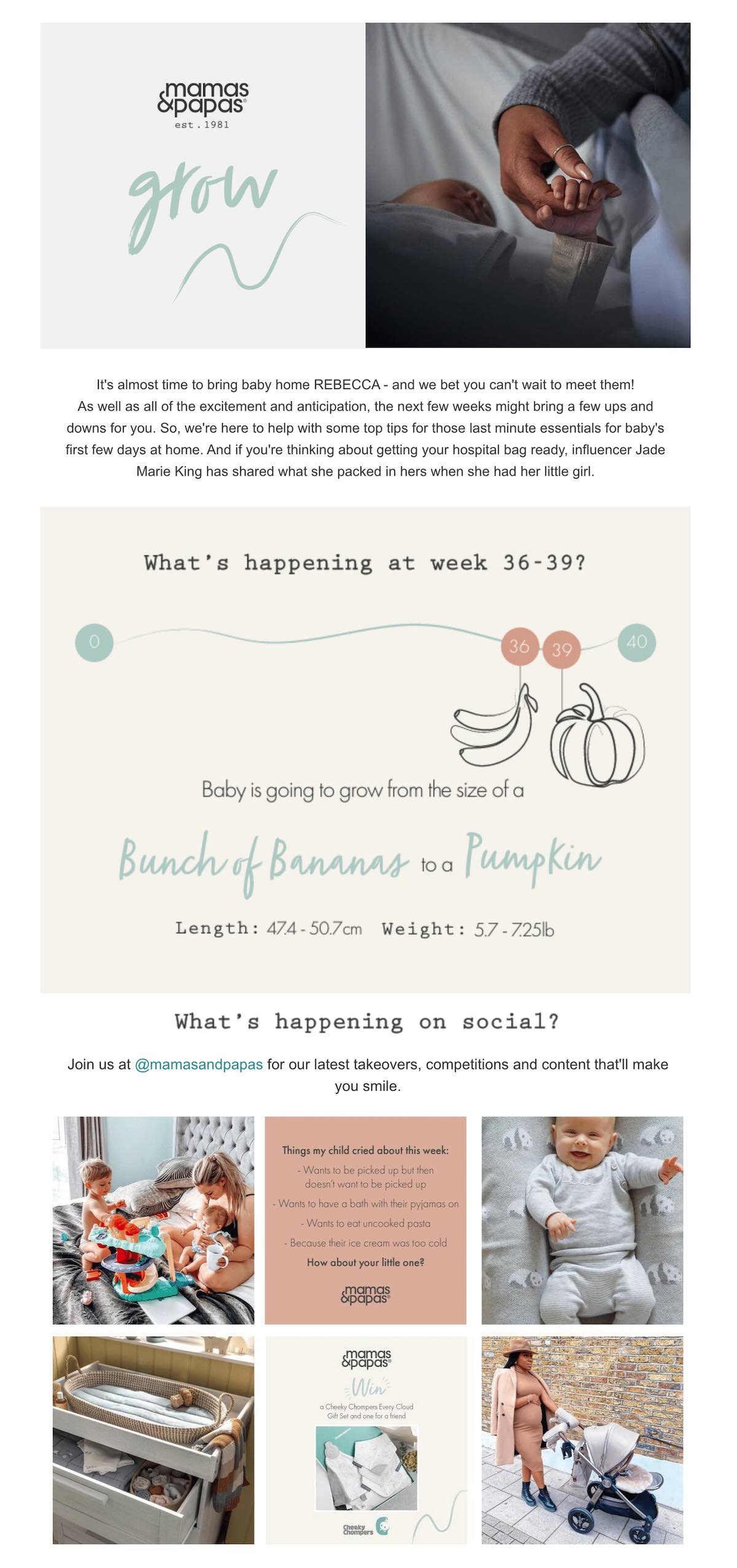 Mamas and Papas email example