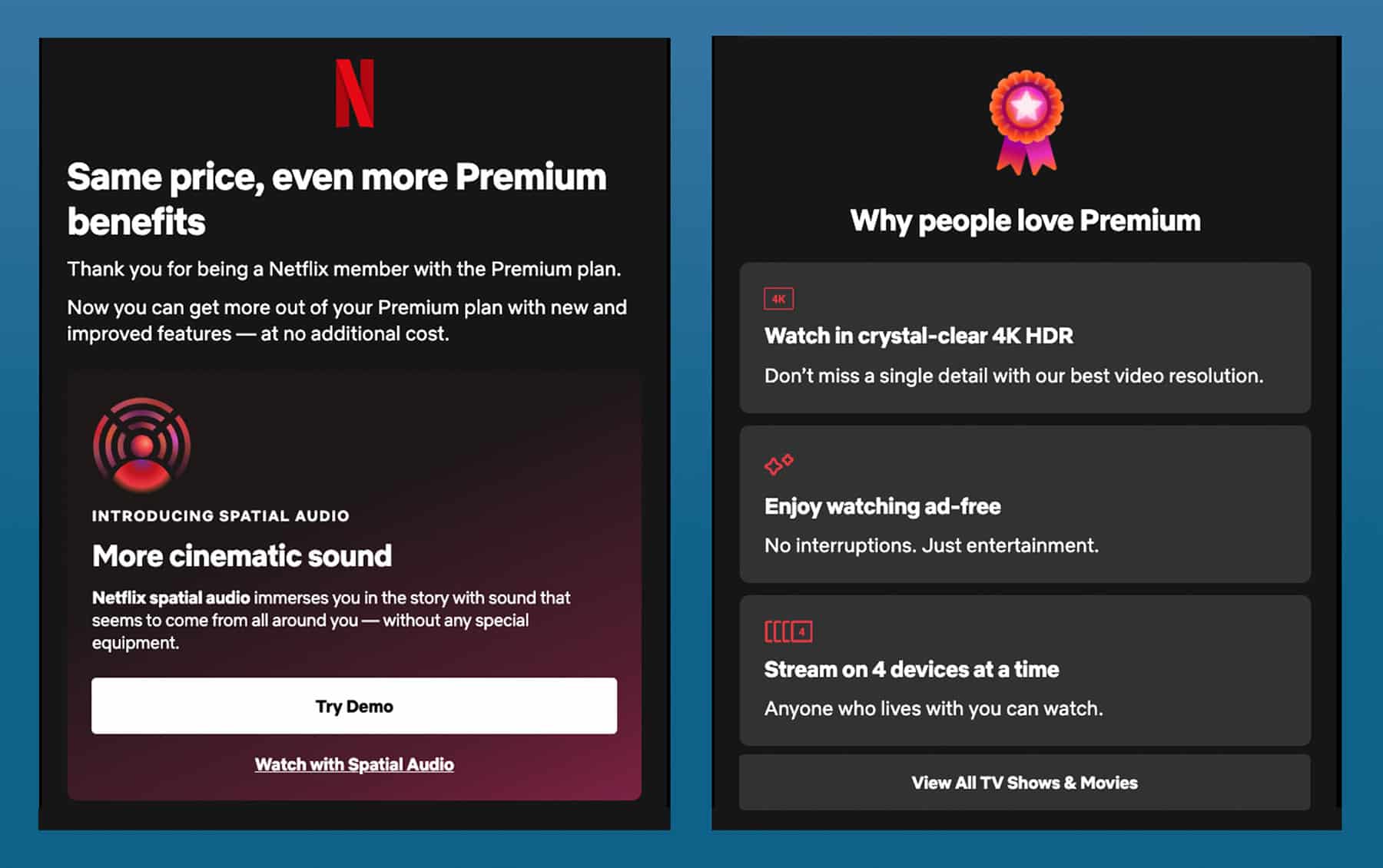 Netflix - The Litmus Team’s Favorite Emails of February 2023 - Litmus