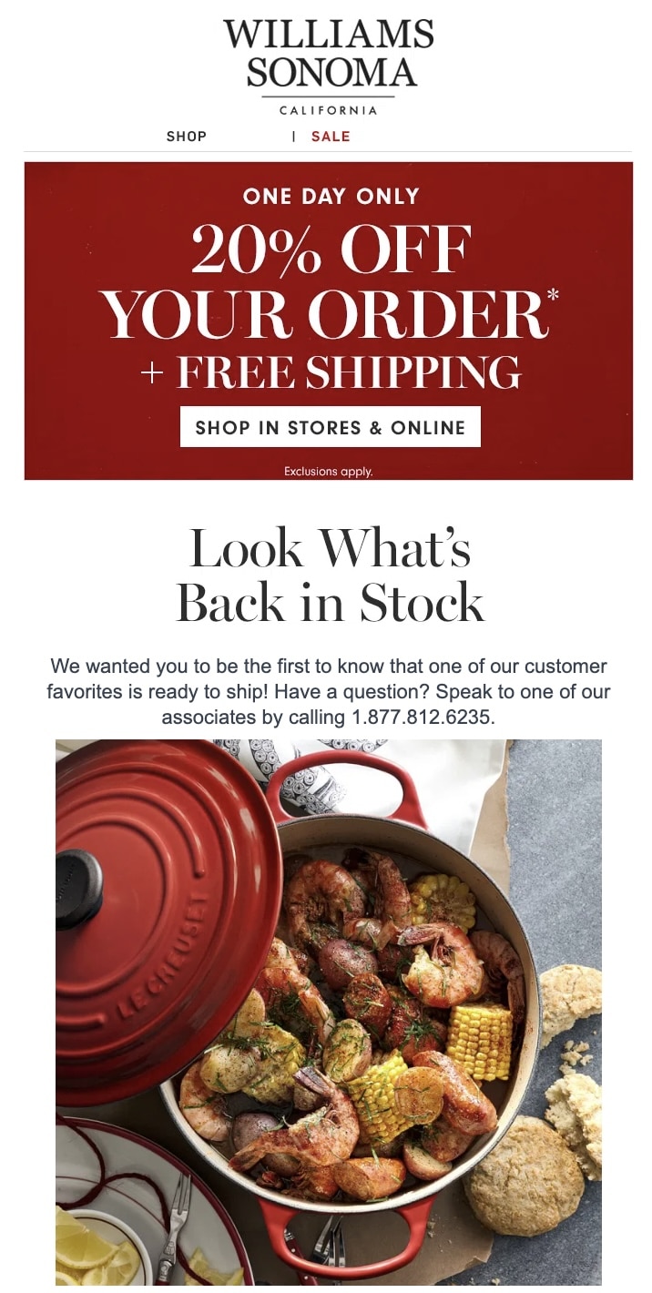 email example from Williams Sonoma
