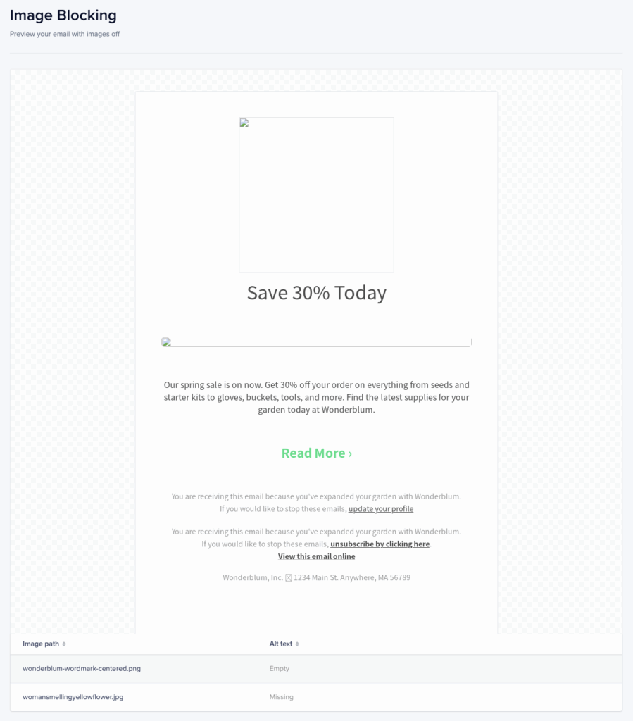 Lacchmus preview shows the old text of an e -mail