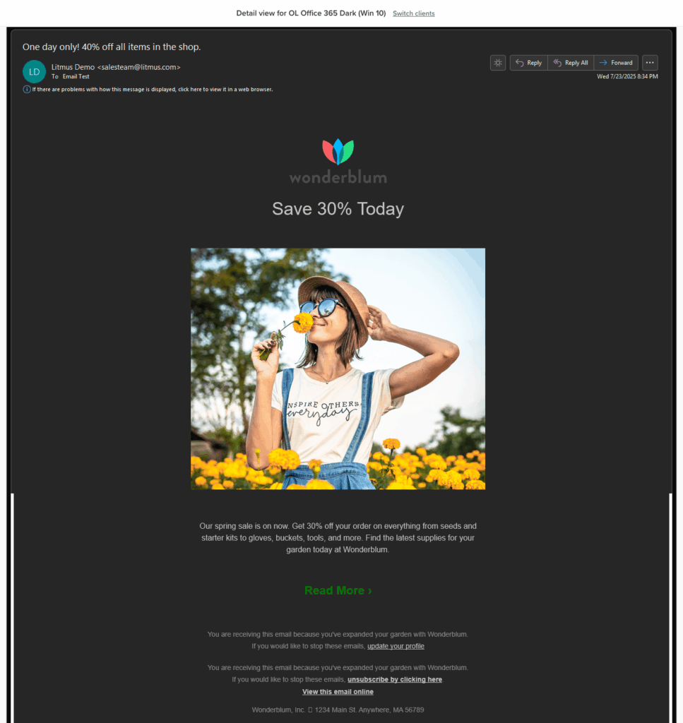 Litmus preview of an e -mail in the dark mode